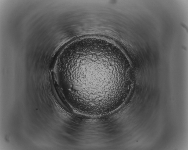 X0000091491497200708231410
