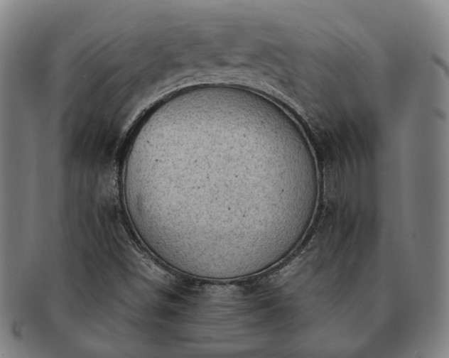 X0000091491498200708231410