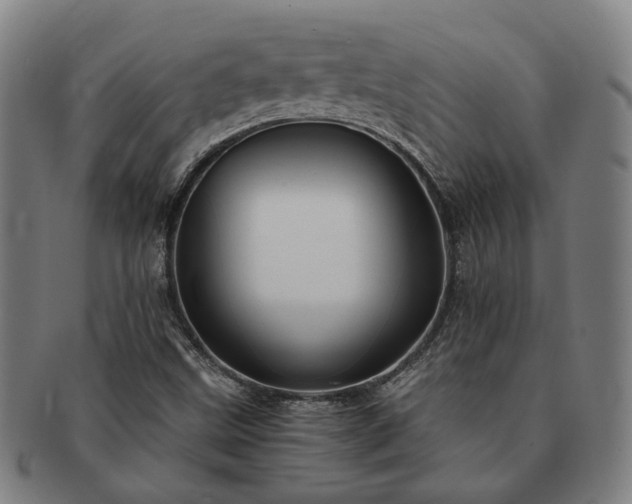 X0000091491499200708231410
