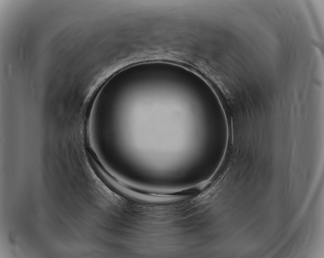 X0000091491500200708231410