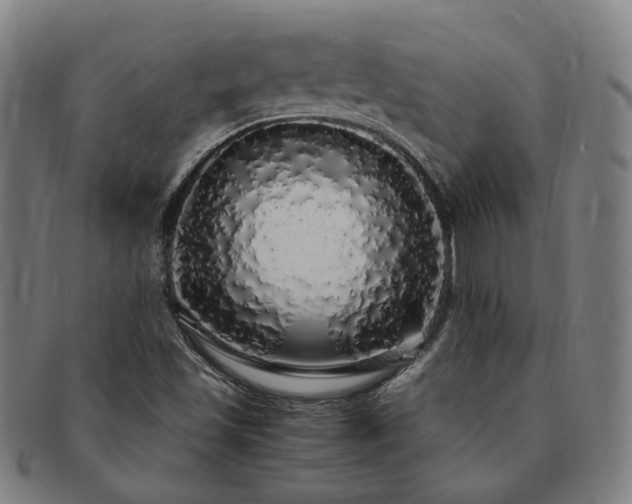 X0000091491501200708231410