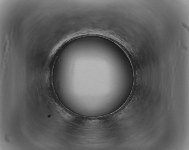 X0000091491502200708231410