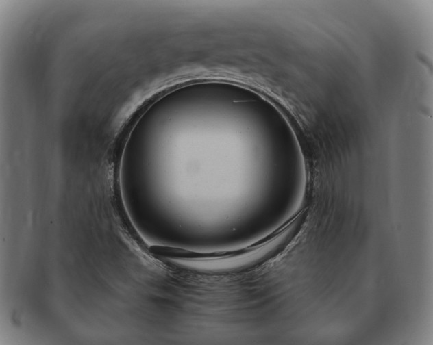 X0000091491503200708231410