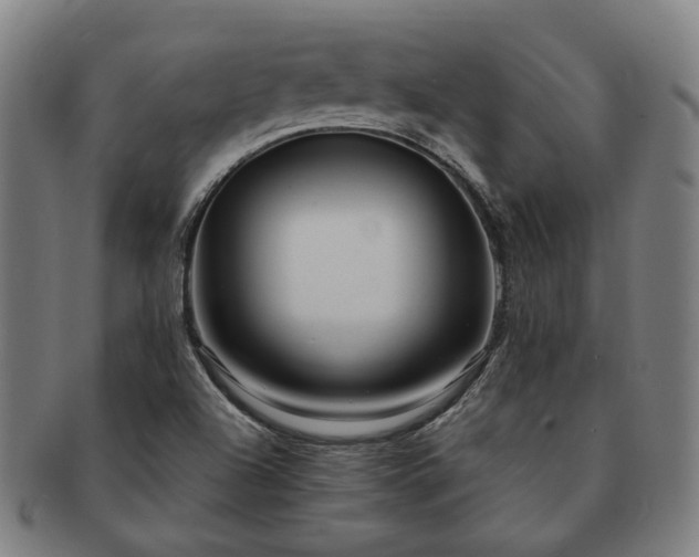 X0000091491504200708231410