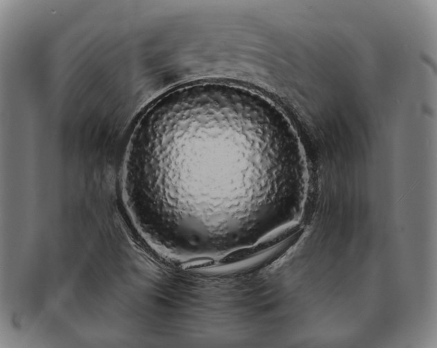 X0000091491505200708231410