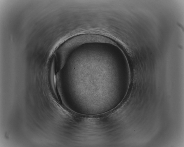 X0000091491506200708231410