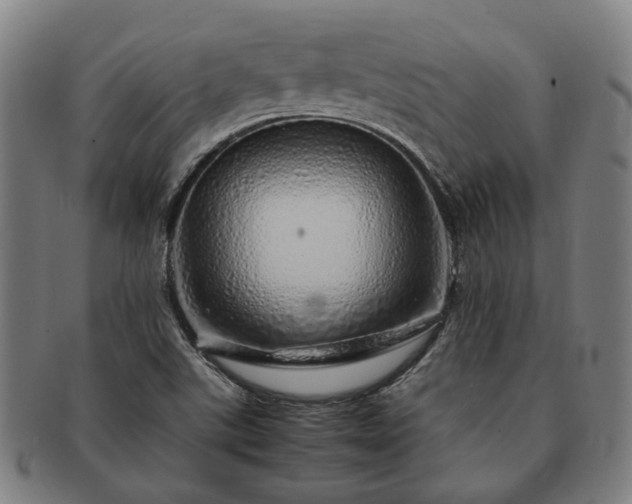 X0000091491507200708231410