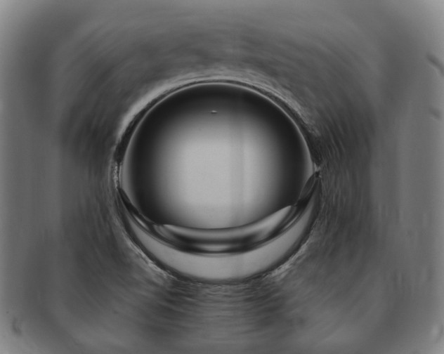 X0000091491510200708231410