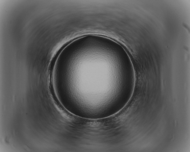 X0000091491511200708231410
