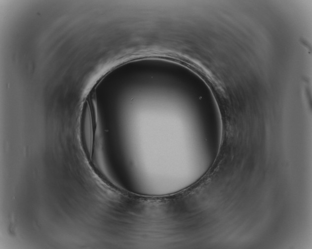 X0000091491512200708231411