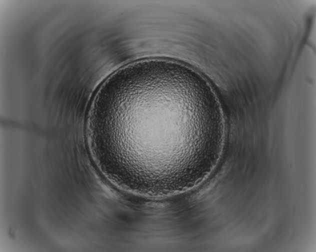 X0000091491513200708231411