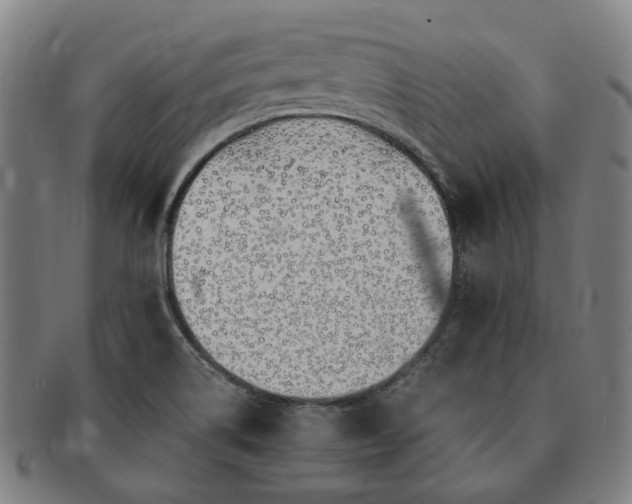 X0000091491514200708231411