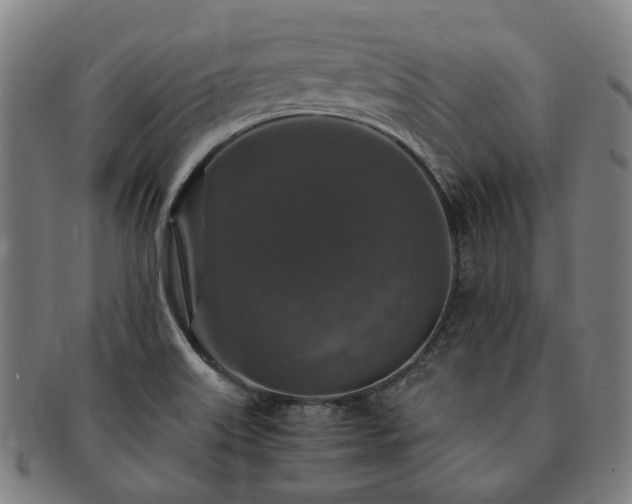 X0000091491515200708231411