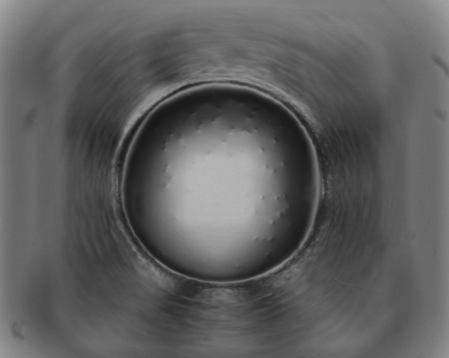 X0000091491517200708231411