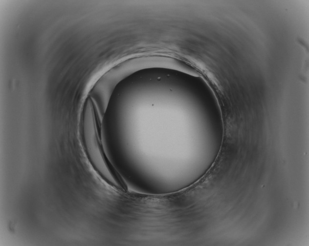 X0000091491520200708231411