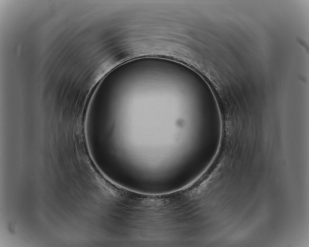X0000091491521200708231411