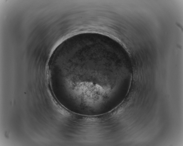 X0000091491522200708231411