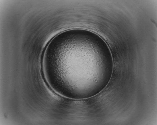 X0000091491523200708231411