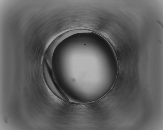 X0000091491524200708231411