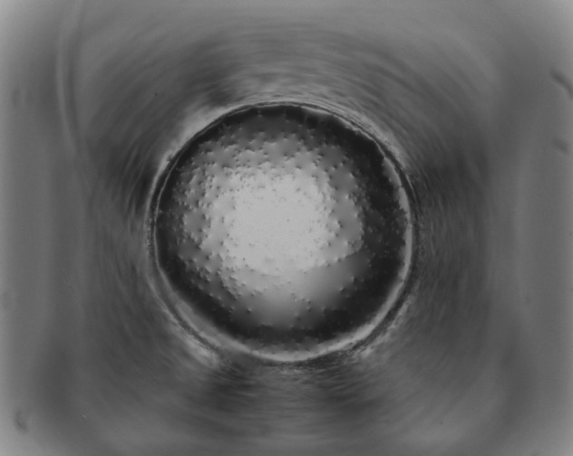 X0000091491525200708231411