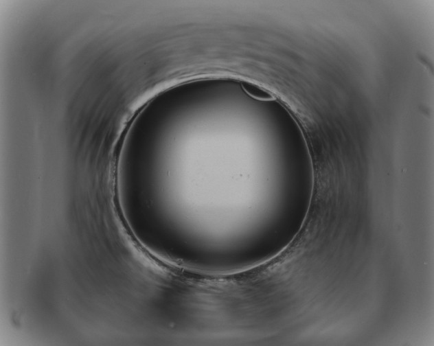 X0000091491526200708231411