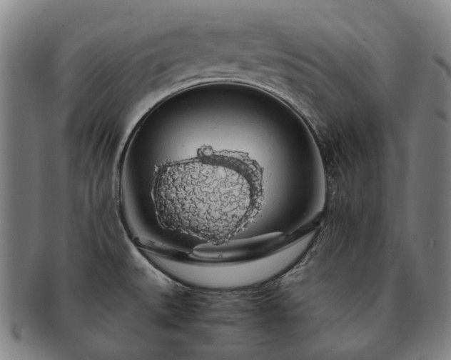 X0000091491527200708231411