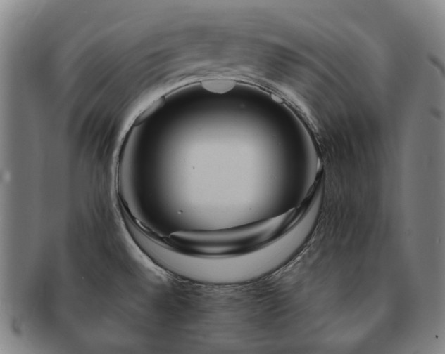 X0000091491528200708231411