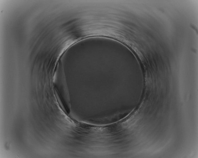 X0000091491529200708231411