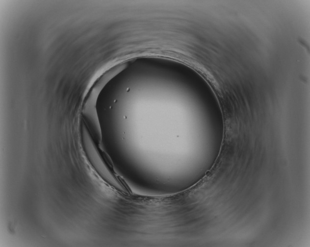 X0000091491530200708231411