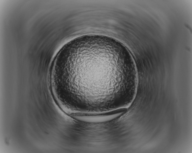 X0000091491531200708231411