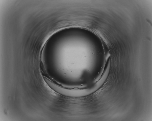 X0000091491532200708231411