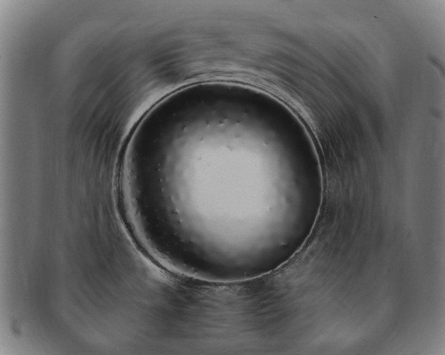X0000091491533200708231411