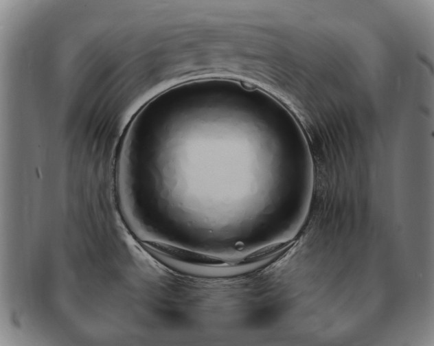 X0000091491534200708231411