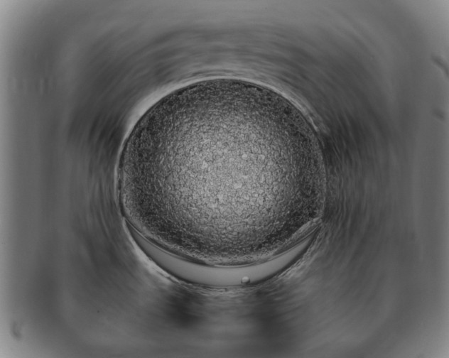 X0000091491535200708231411