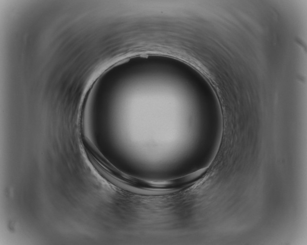 X0000091491536200708231411