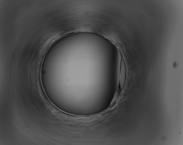 X0000091490001200708301946