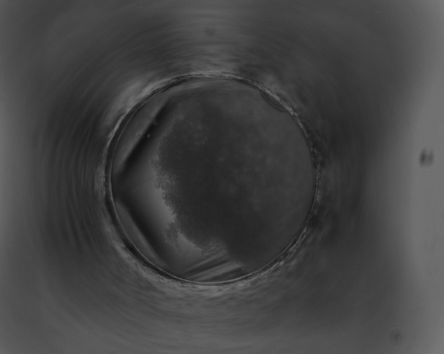 X0000091490002200708301946