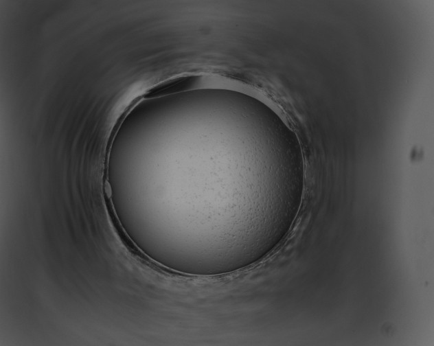 X0000091490003200708301946