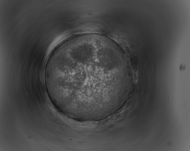 X0000091490004200708301946