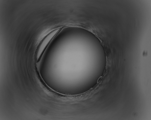 X0000091490005200708301945