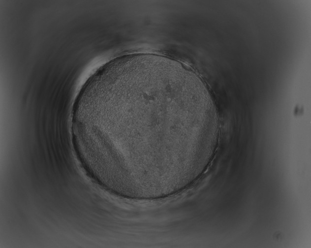 X0000091490006200708301945