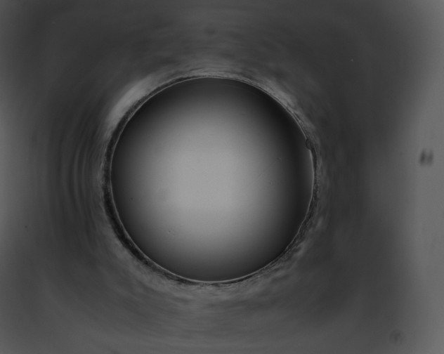 X0000091490007200708301945