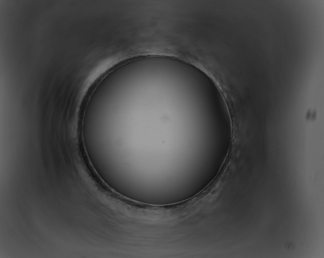 X0000091490008200708301945