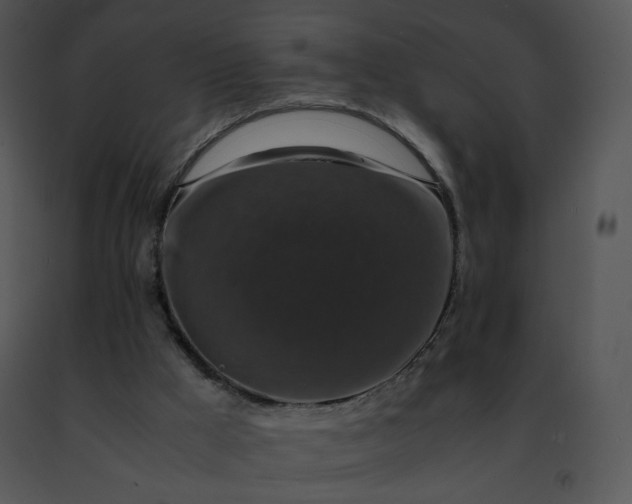 X0000091490009200708301945