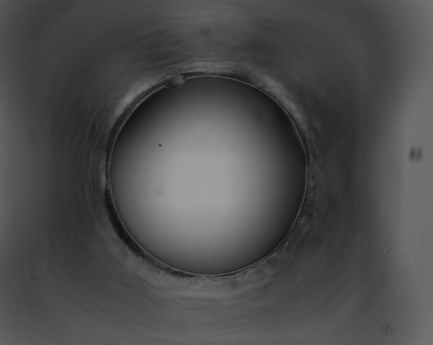 X0000091490011200708301945