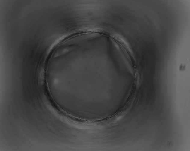 X0000091490012200708301945