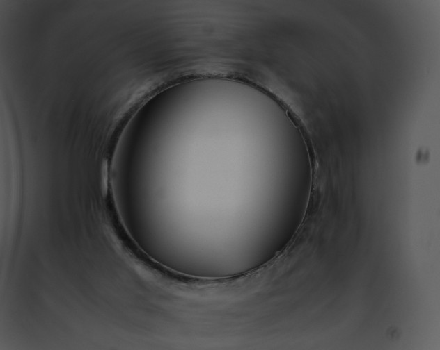 X0000091490013200708301945