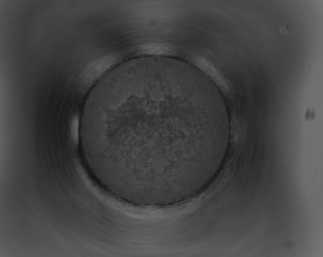 X0000091490014200708301945