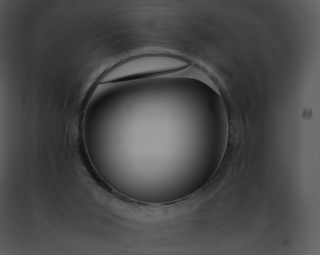 X0000091490015200708301945