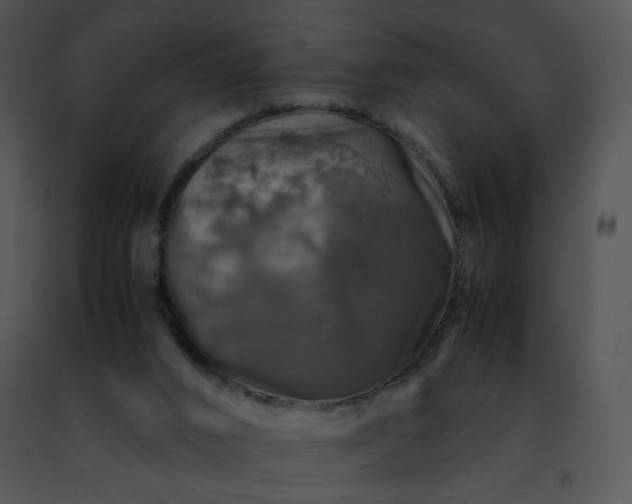 X0000091490016200708301945